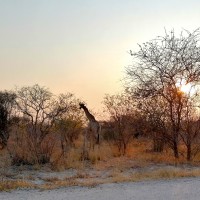 Namibia