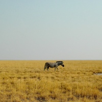 Namibia