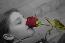 The Rose
