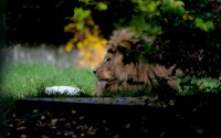 Zoo Augsburg 2024