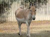 Zoo Augsburg 2024