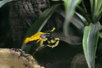 Zoo Augsburg 2024