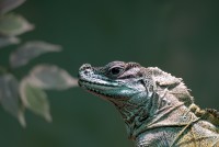 Zoo Augsburg 2024