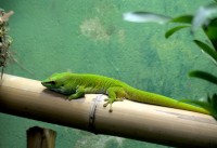 Zoo Augsburg 2024