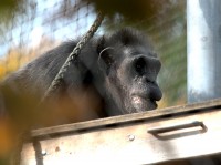 Zoo Augsburg 2024