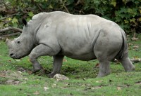 Zoo Augsburg 2024