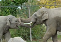 Zoo Augsburg 2024