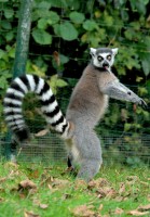 Zoo Augsburg 2024