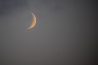 Mond