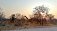 Namibia