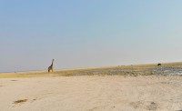 Namibia