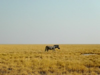 Namibia
